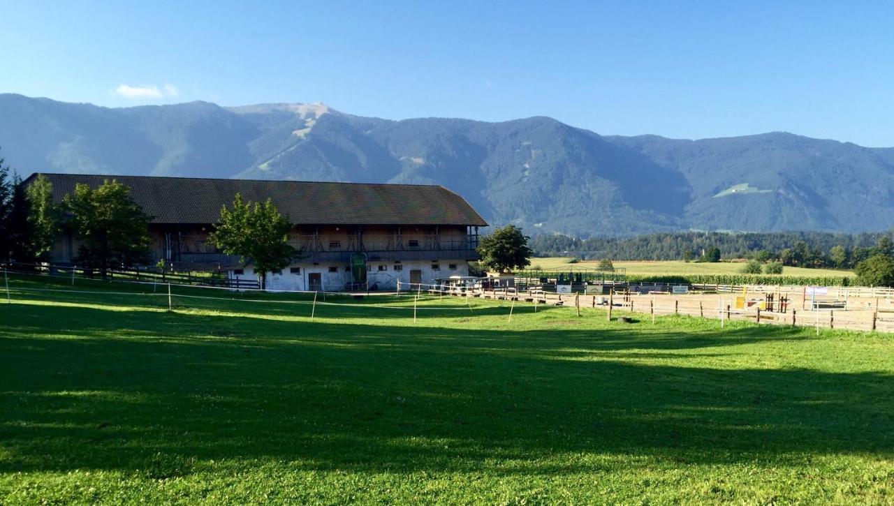 Schoenhuberhof - Panoramalage Lejlighed Brunico Eksteriør billede